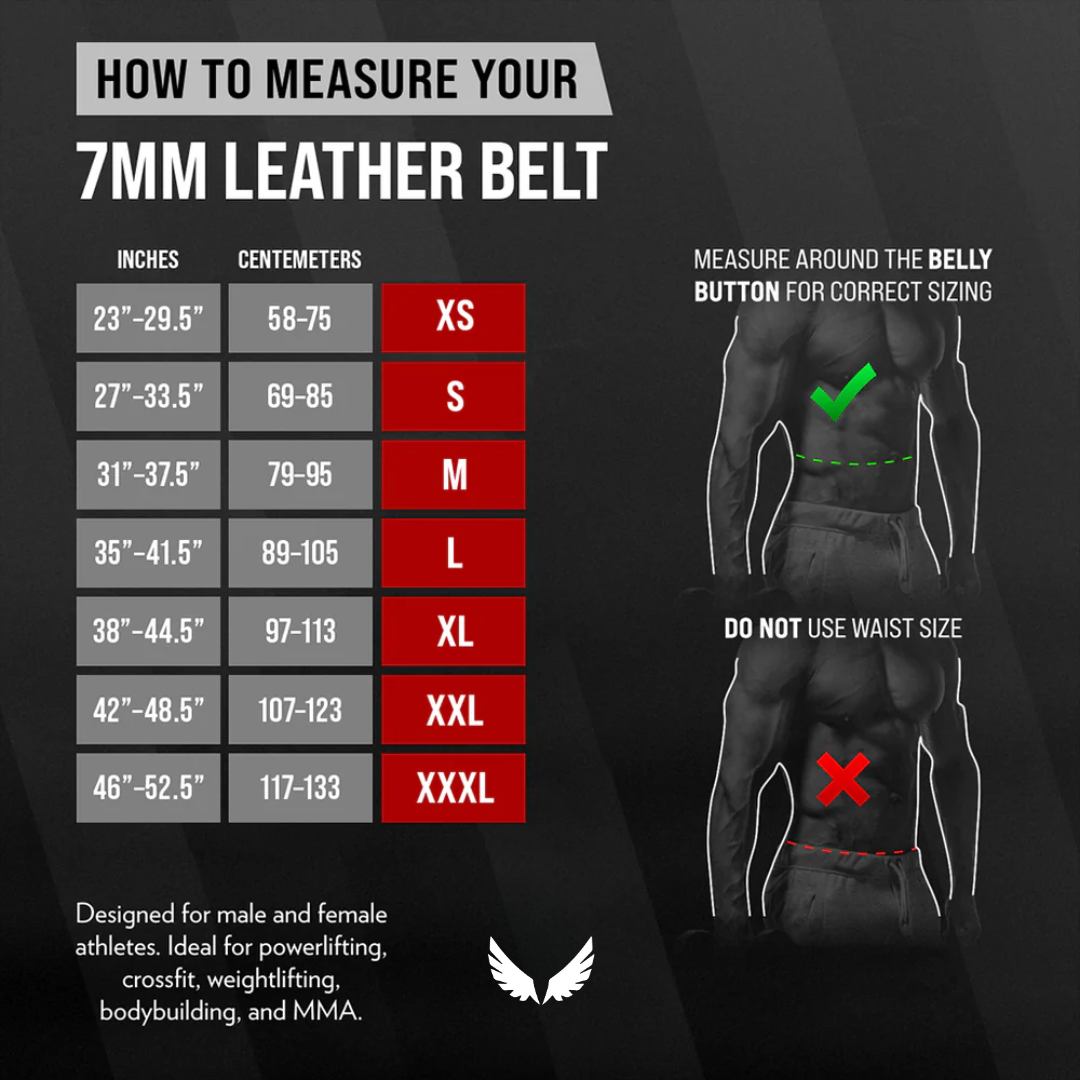 ELITE TRAINING BELT